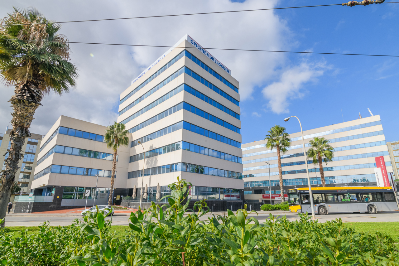 Sant Martí de l'Erm 1, SANT JUST DESVERN