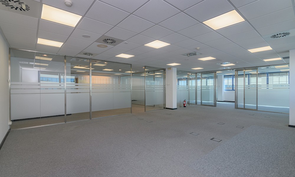 Despatx 3r 5a (224 m²) - Constitució 2