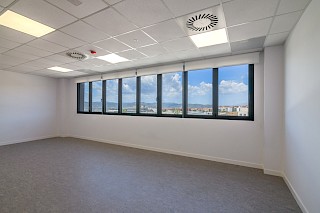 Miniatura 15