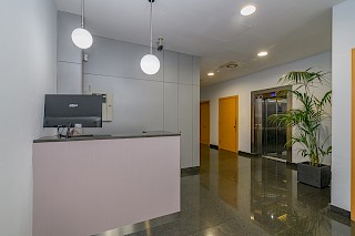 Miniatura 9