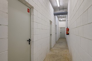 Miniatura 14