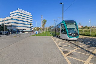 Miniatura 26